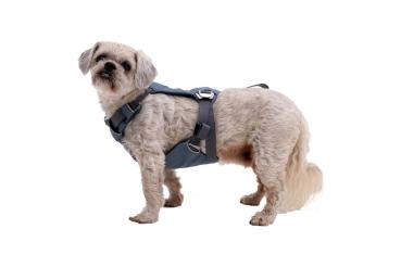 Load Up™ Harness (New Design) Slate Blue Gr. XS